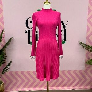 Nannette Hot Pink Ribbed Long-Sleeve Fit-and-Flare Dress